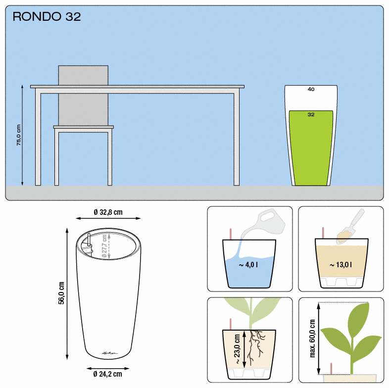 office plants